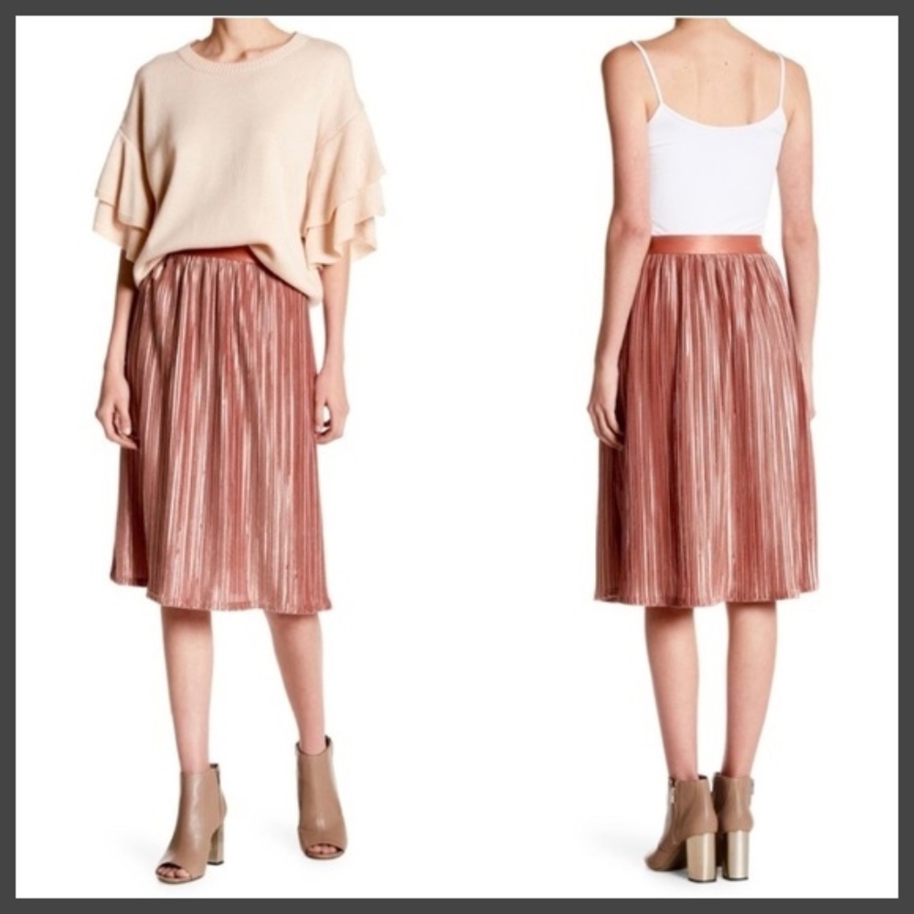 Pink Owl Velvet Pleated Champagne Skirt